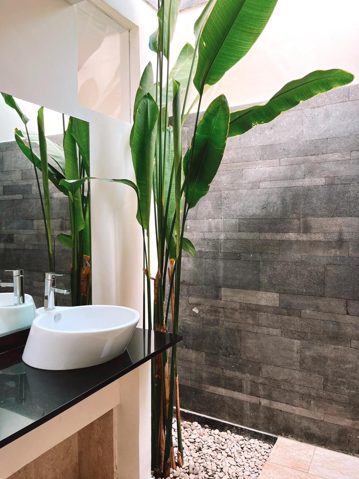 Aster Villa Seminyak Zewnętrze zdjęcie
